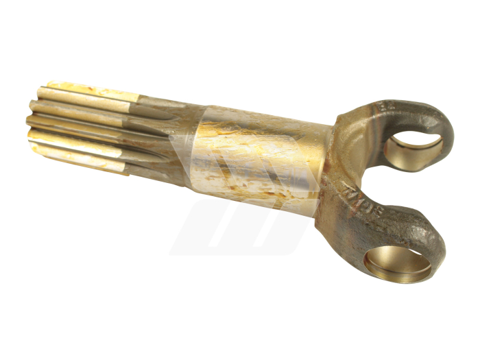 13 Zähne - Detail 1