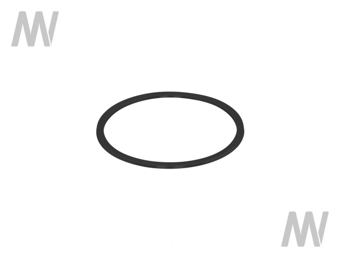 Lip seal ring - Detail 1