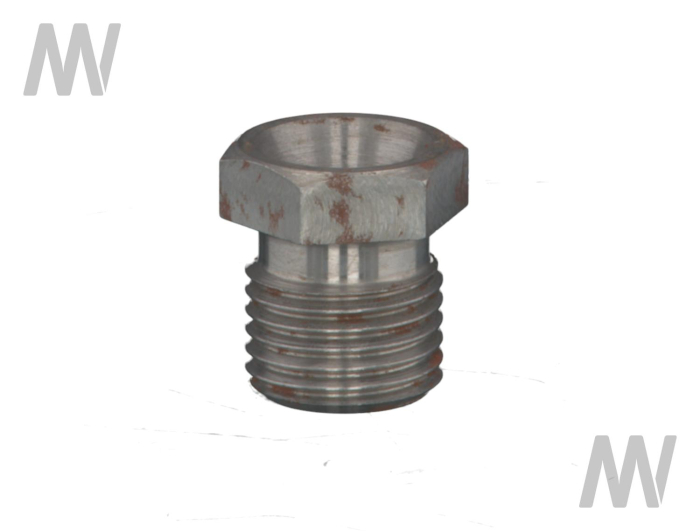 Banjo bolt - Detail 1