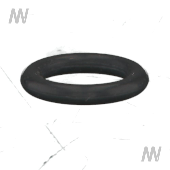 O-ring - Detail 1