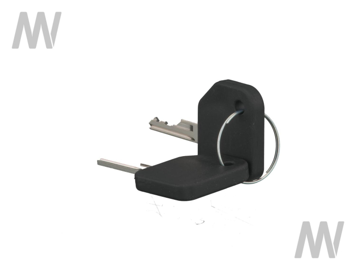 Door & ignition key - Detail 1