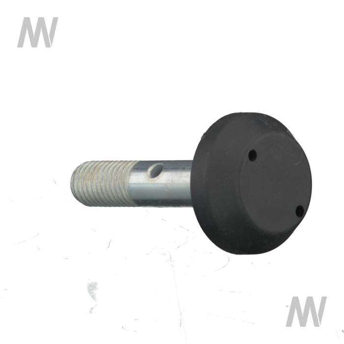 Spezialschraube m. Kappe - Detail 1