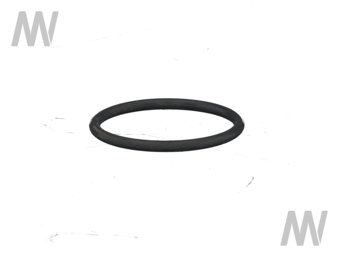 O-Ring - Detail 1
