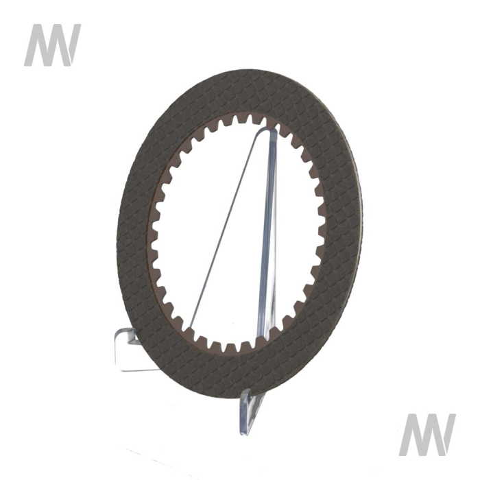 Lamellar disk - Detail 1