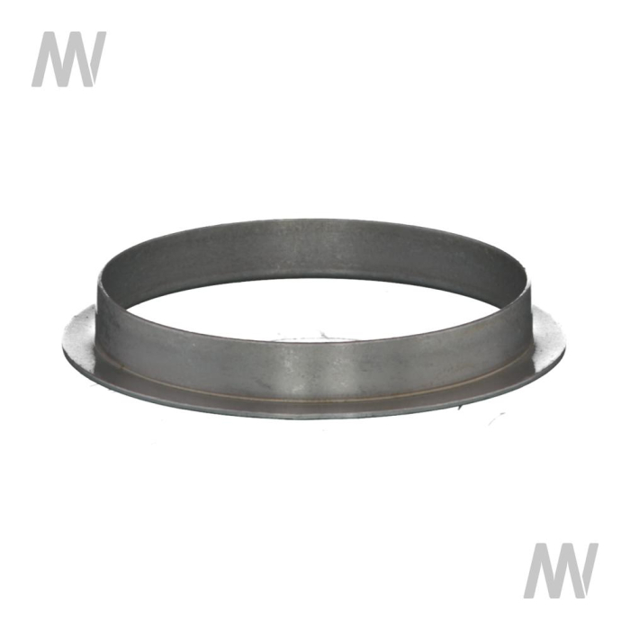 Fuehrungsring - Detail 1