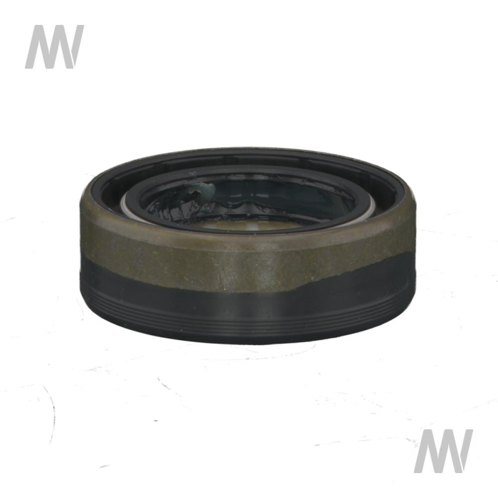 Dichtring 33 x 52 x 17 - Detail 1