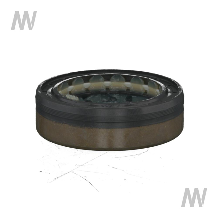 Shaft seal ring - Detail 1