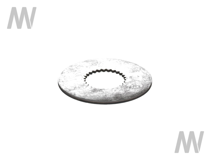 Bremsscheibe - Detail 1