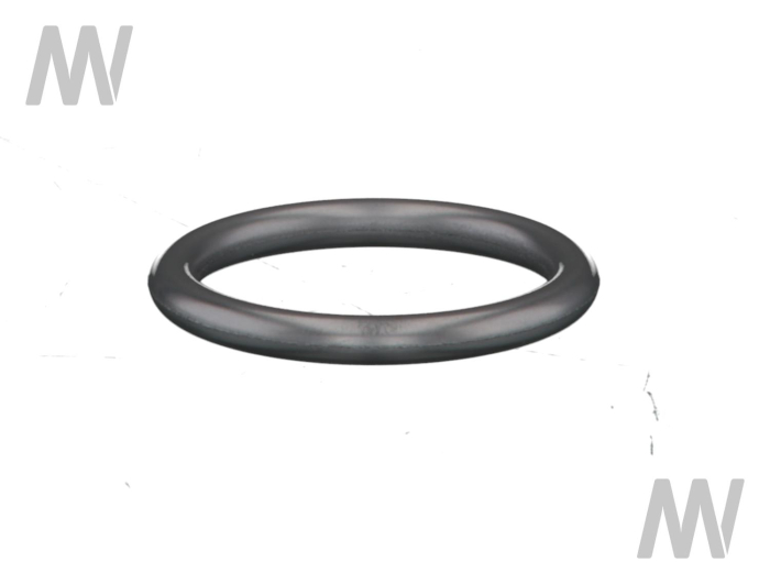 Dichtring - Detail 1