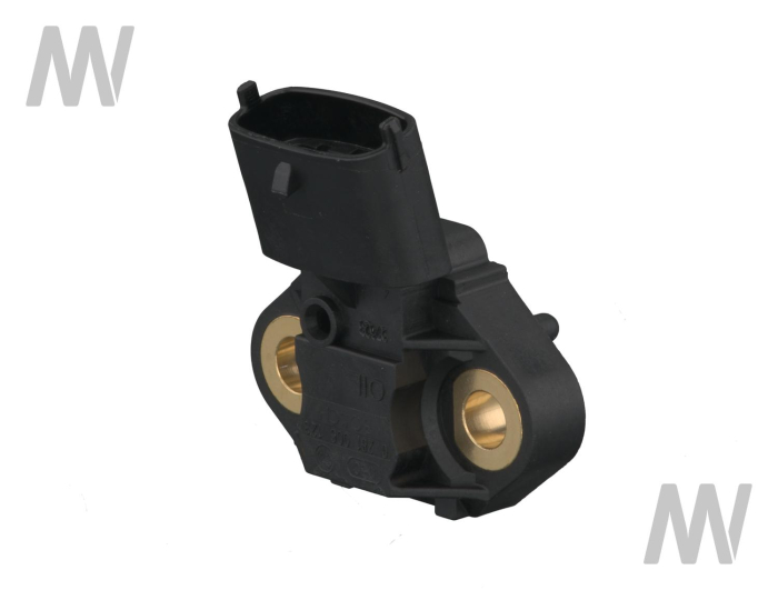 Sensor für Motortemperatur und Öldruck - Detail 1