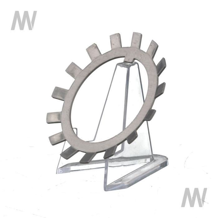 Lock washer - Detail 1