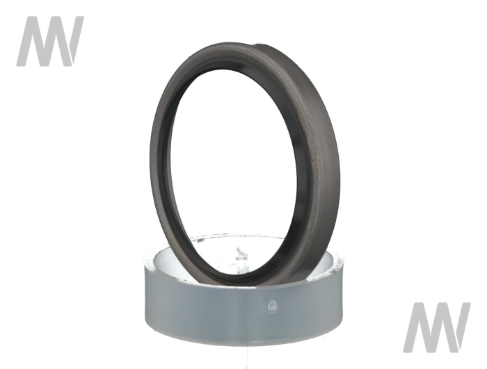 Abstreifring - Detail 1