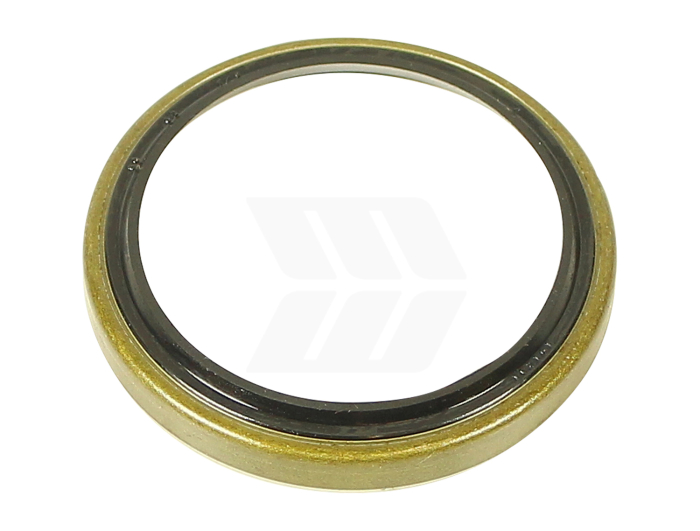 also f. david Brown 1394 to 1594 - Detail 1