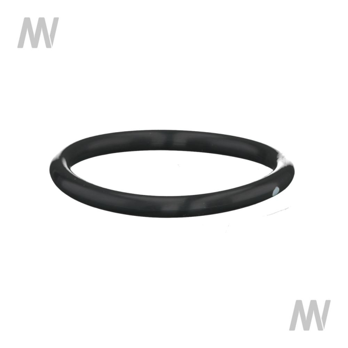 Dichtring - Detail 1