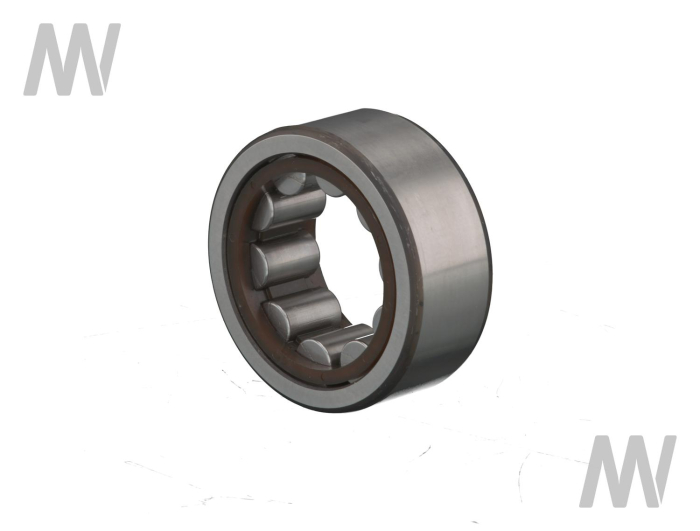 Rollenlager - Detail 1