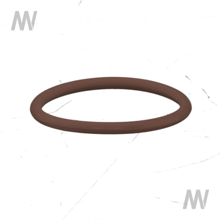 O-Ring - Detail 1