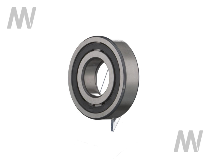 Rollenlager - Detail 1