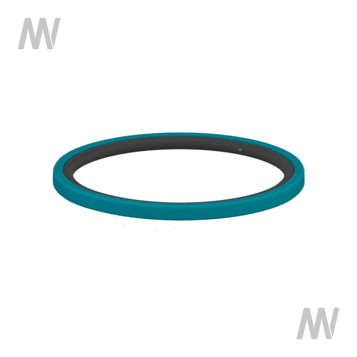 Dichtring - Detail 1