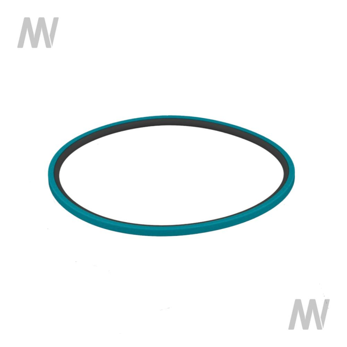 Dichtring - Detail 1