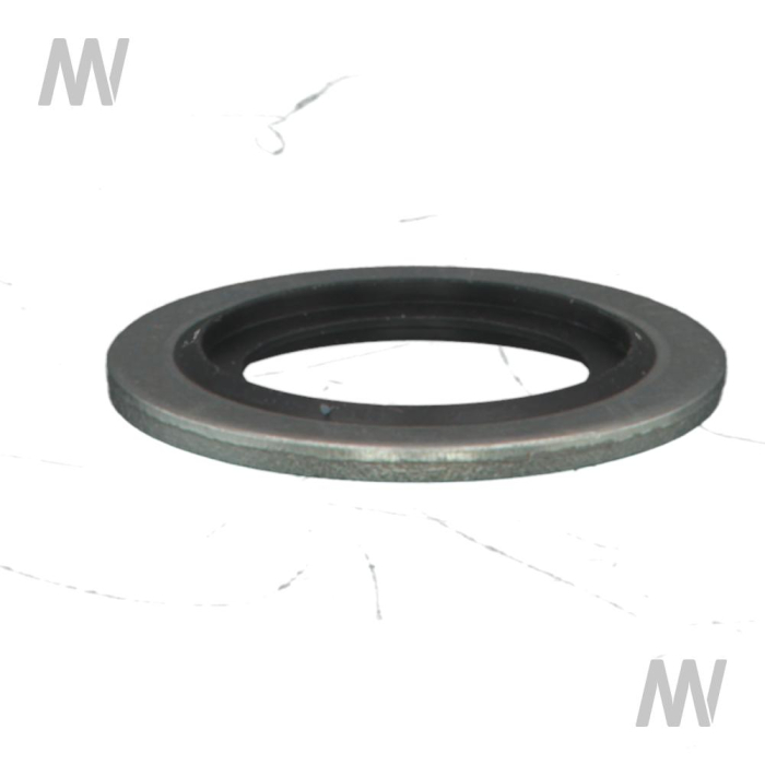 Dichtscheibe - Detail 1