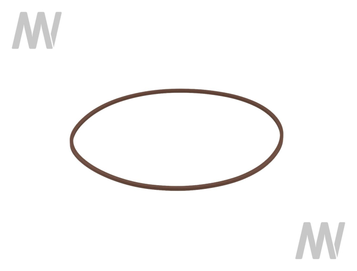 Dichtring - Detail 1