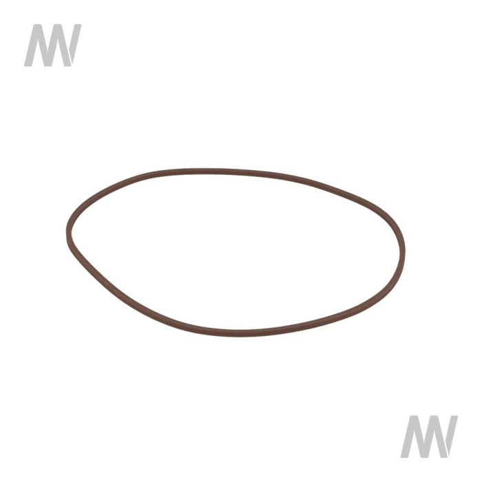 Shaft seal ring - Detail 1