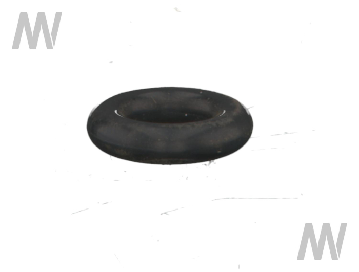 O-ring - Detail 1