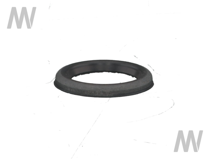 Dichtring - Detail 1