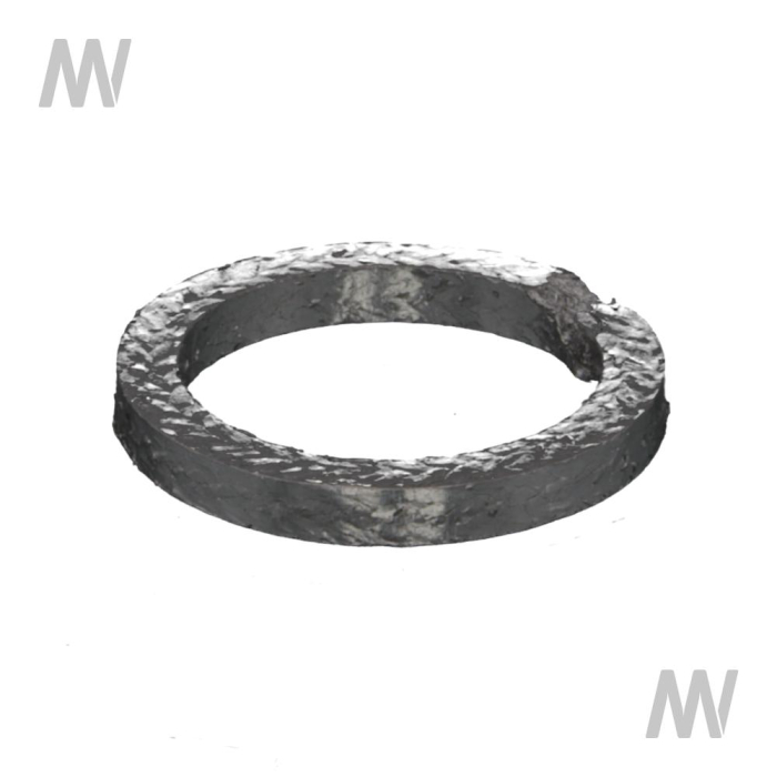 Graphitdichtring - Detail 1