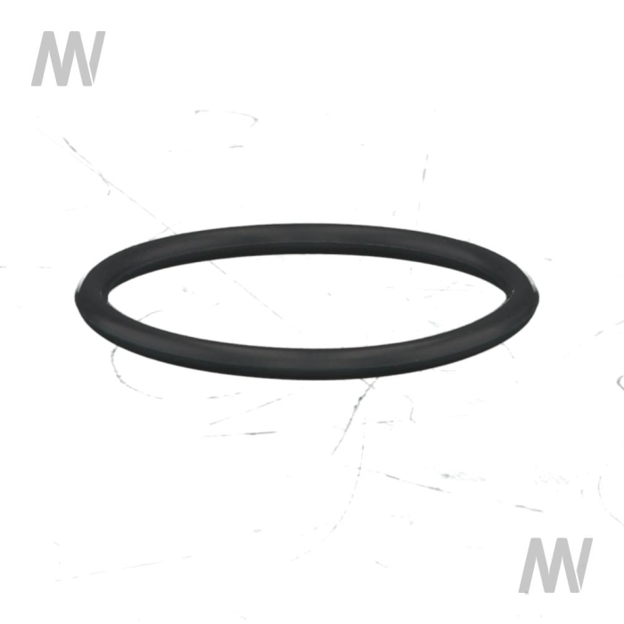 O-ring f. brake shaft 2 cyl. - Detail 1