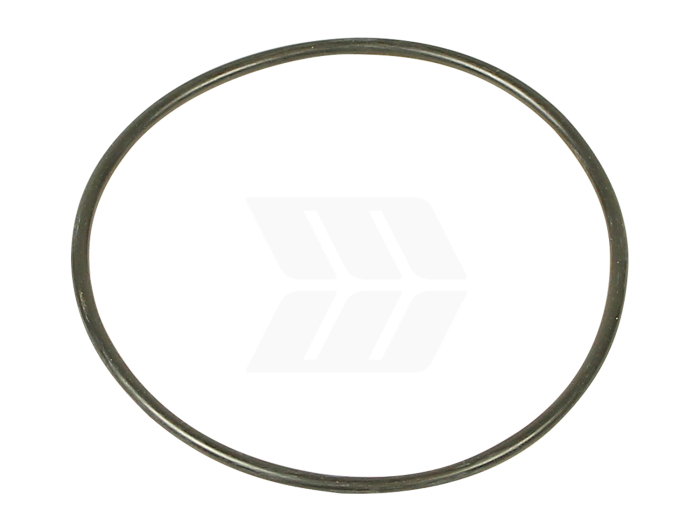 O-ring - Detail 1