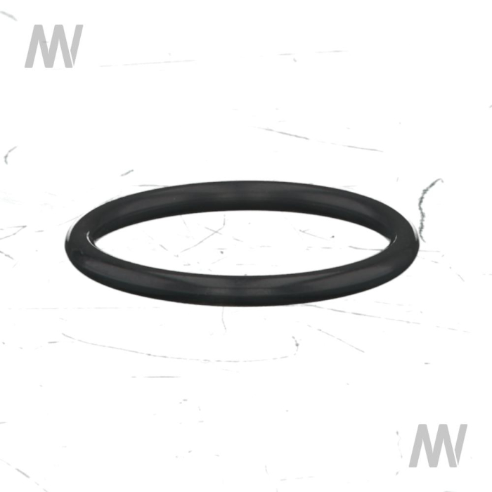 O-ring f. handbrake shaft - Detail 1