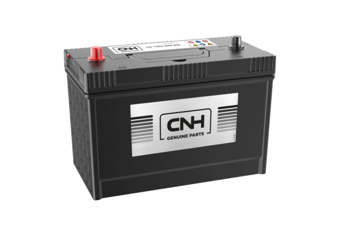 Starter battery 12V 110AH / 950A - Detail 1