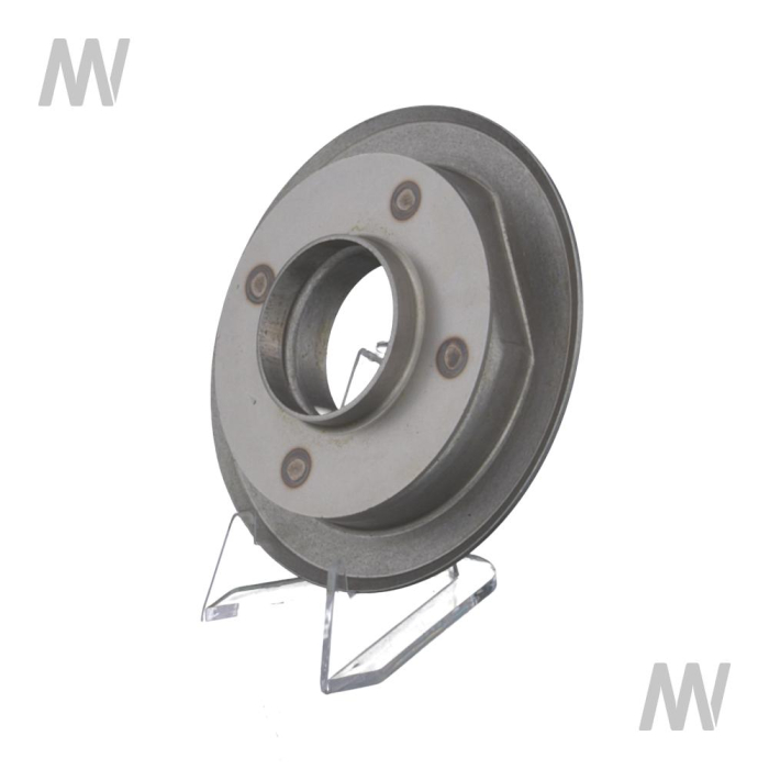 Locking plate - Detail 1