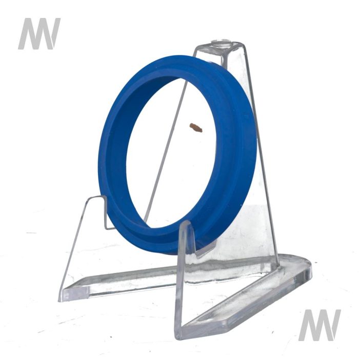 Abstreifring - Detail 1