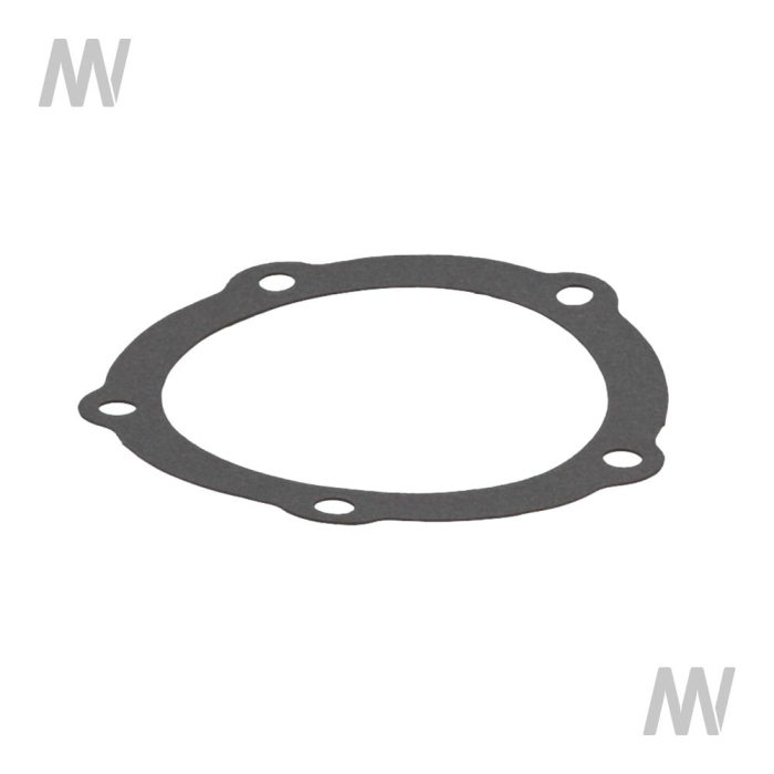 Dichtung -Gold Value- - Detail 1