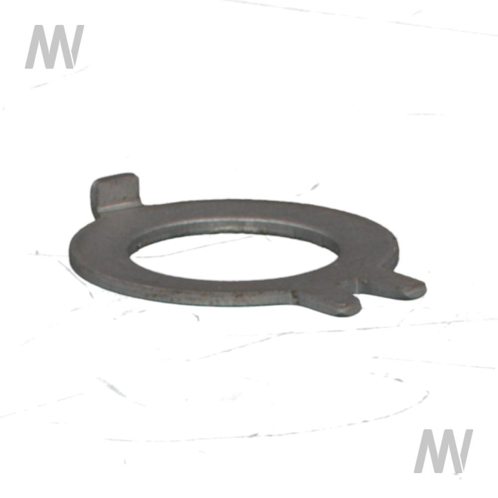 Lock washer - Detail 1