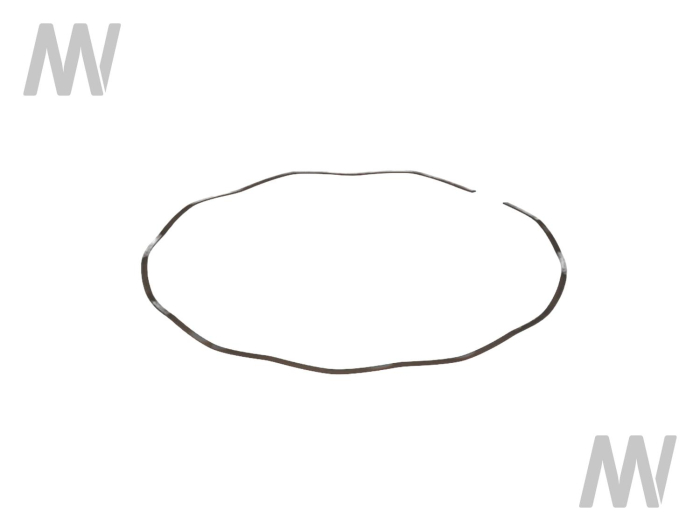 Federscheibe IØ=148,35mm - Detail 1