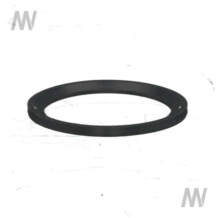 Dichtungsring - Detail 1