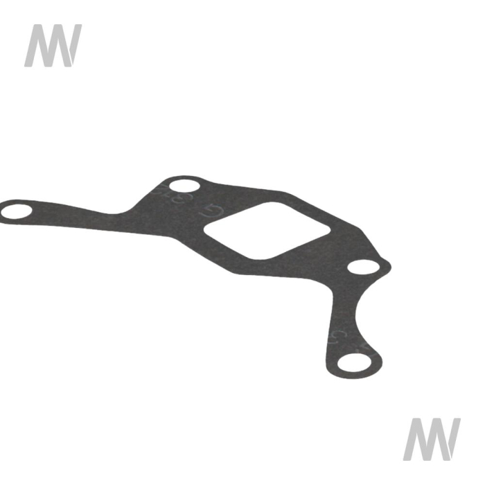 Dichtung  Flach - Detail 1