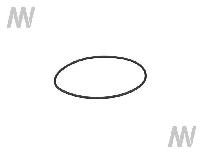 O-RING - Detail 1