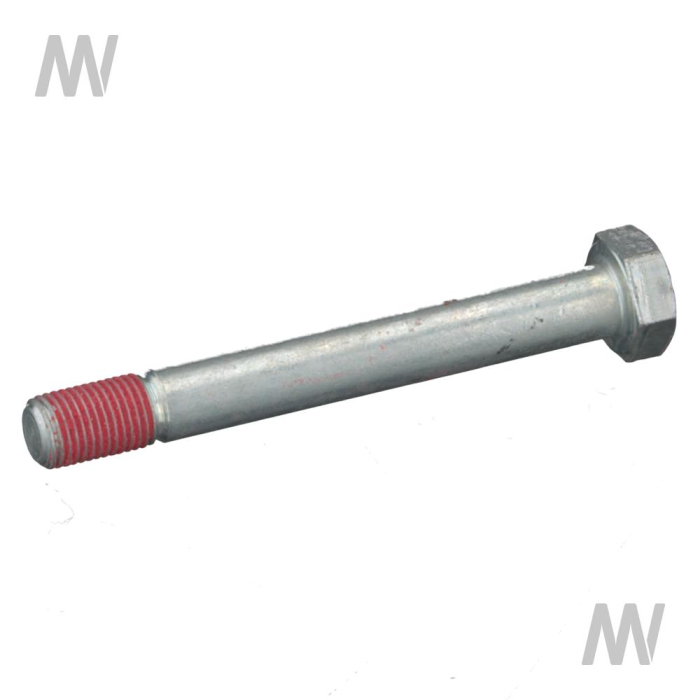 Spezialschraube Bremsscheiben Puma - Detail 1