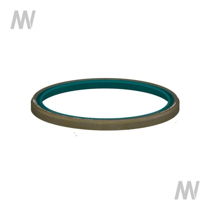 Dichtring - Detail 1