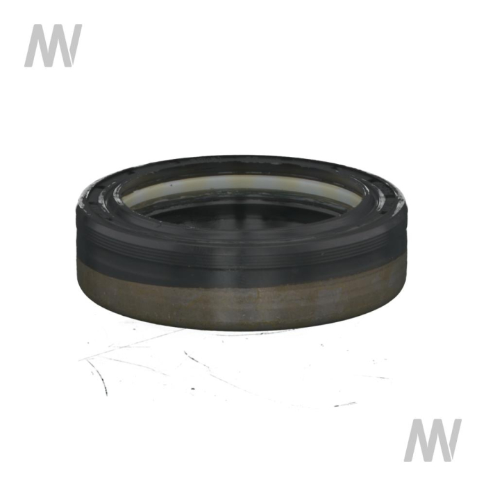 Shaft seal ring - Detail 1