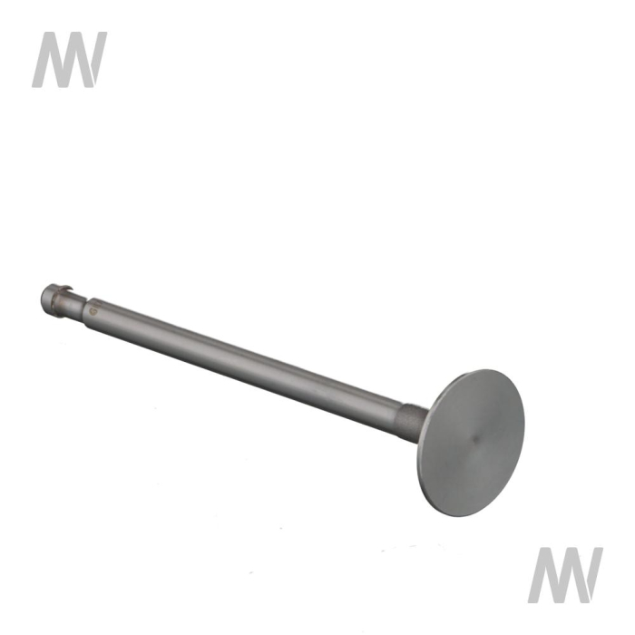 Einlassventil D-Serie -Gold Value- - Detail 1