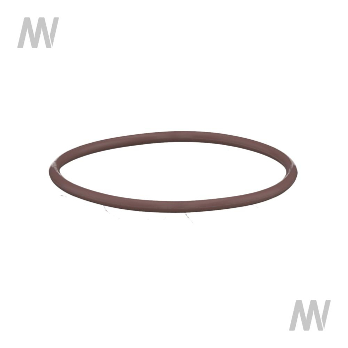 O-ring - Detail 1