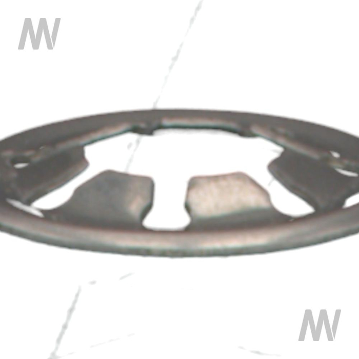 Druckscheibe - Detail 1