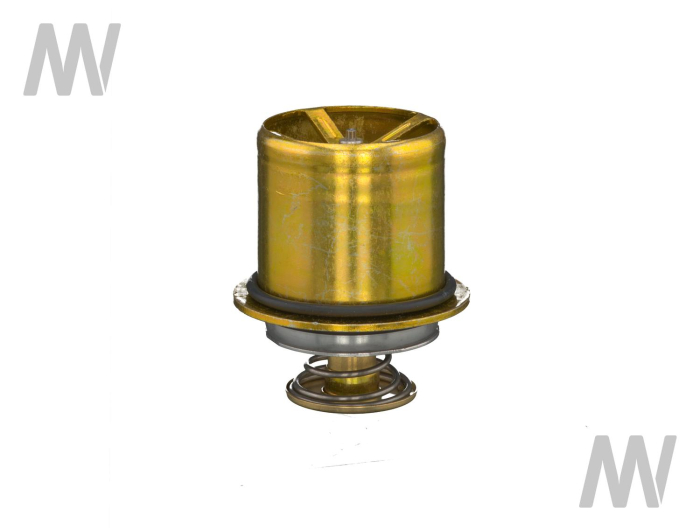 Thermostat - Detail 1