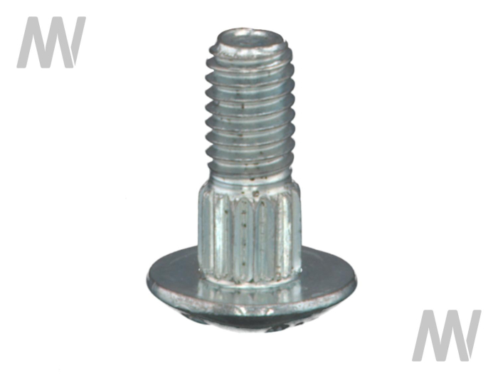 Spezialschraube (Messerklinge) - Detail 1