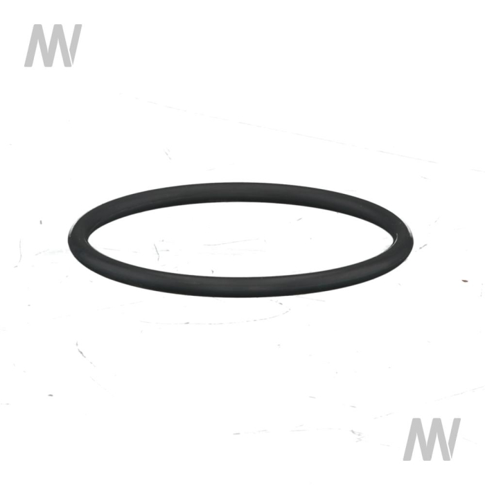 O-Ring - Detail 1